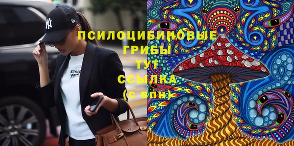 бошки Балахна