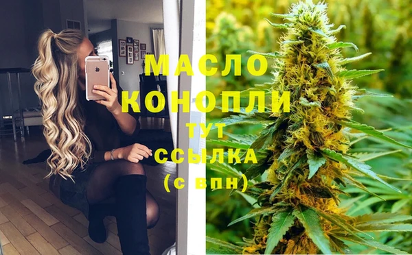 гидра Арсеньев