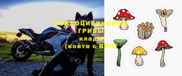 крисы Снежинск