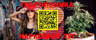 apvp Лесосибирск