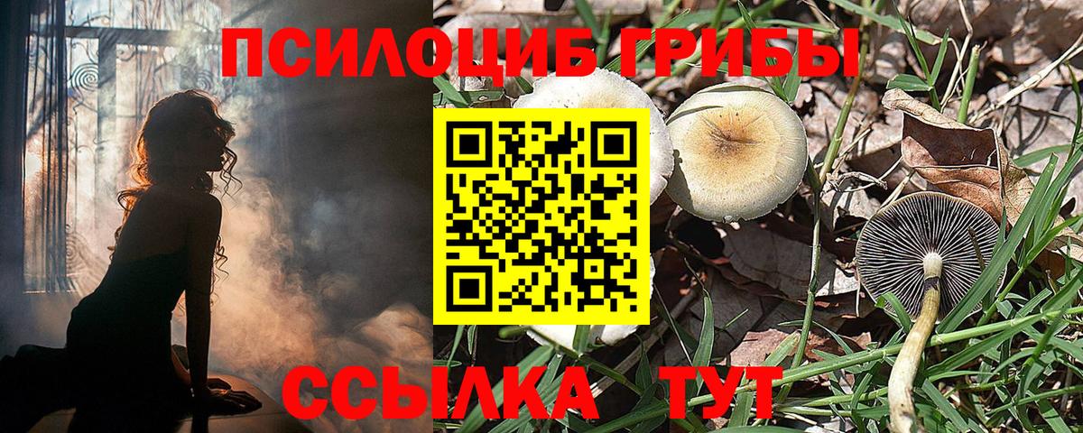 магазин продажи наркотиков  Галлюциногенные грибы мицелий  Вход с VPN  Галлюциногенные грибы GOLDEN TEACHER  Кунгур 